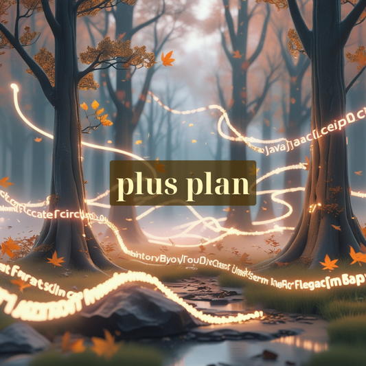 Plus Plan